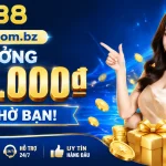 bj38-banner-5