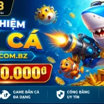bj38-fish-banner-3