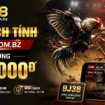 bj38-livecasino-banner-1