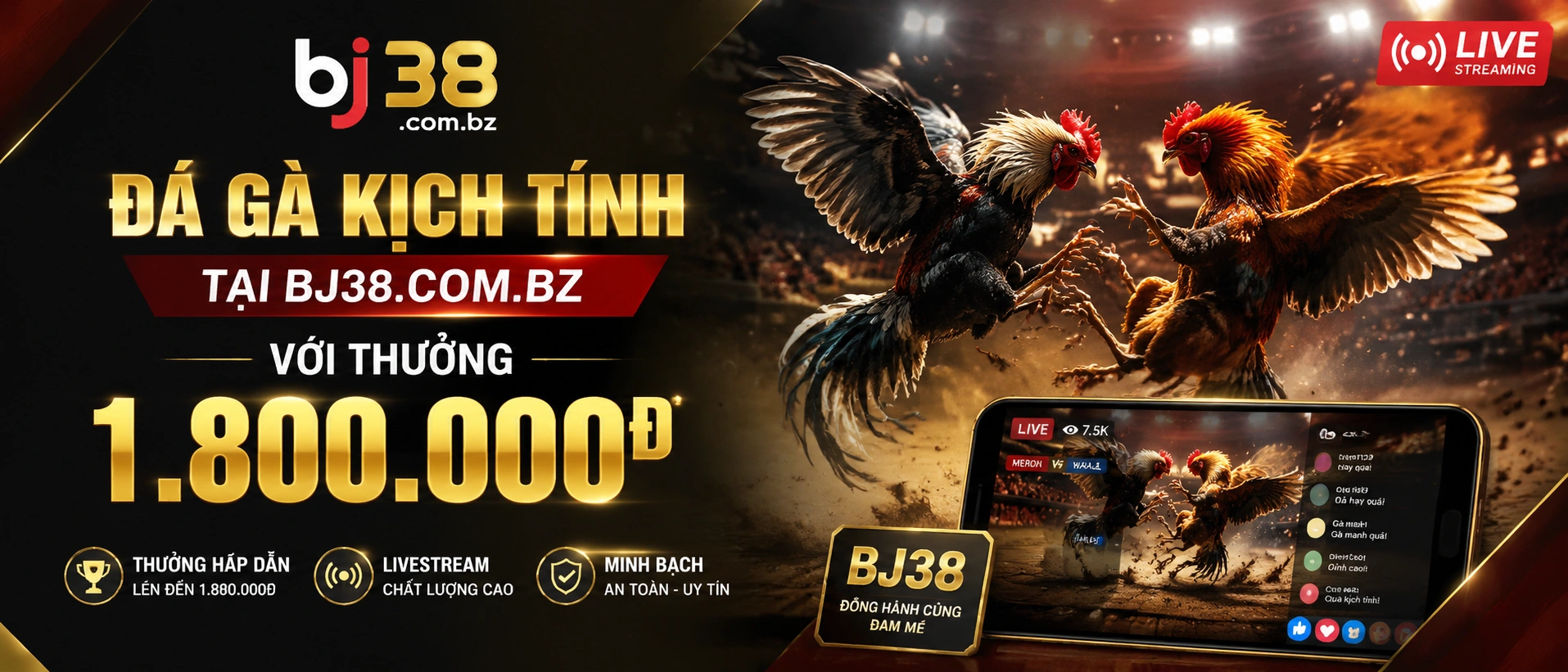 Live Casino