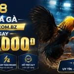 bj38-livecasino-banner-2
