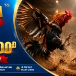 bj38-livecasino-banner-3